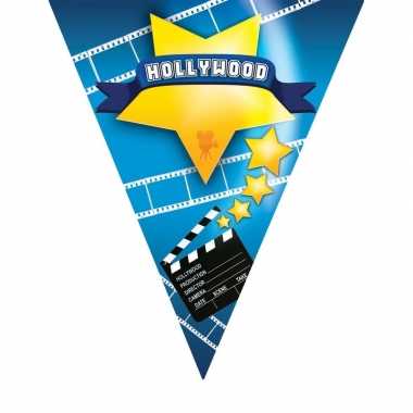 Vlaggenlijn hollywood 5 meter