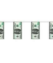 Geld slinger met dollars 4 meter